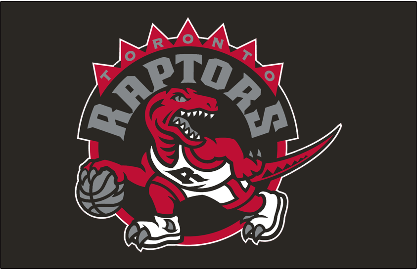 Toronto Raptors 2008-2015 Primary Dark Logo DIY iron on transfer (heat transfer)